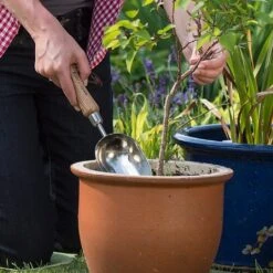 Best Seller -Plantify Shop 1002024 1