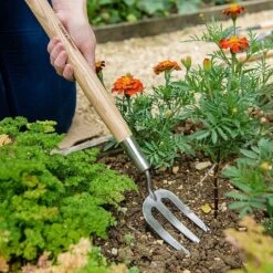 Best Seller -Plantify Shop 1031064 1