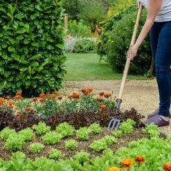 Best Seller -Plantify Shop 1031071 1