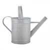 Fallen Fruits Old Zinc Watering Can 1.6L -Plantify Shop 1077089