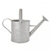 Fallen Fruits Old Zinc Watering Can 8.7L