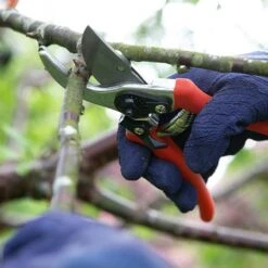 Wilkinson Sword Folding Pruner Saw & Pruner Set 8 Wilkinson Sword Folding Pruner Saw & Pruner Set -Plantify Shop 1140375 2