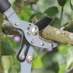 Darlac Telesc Anvil Lopper -Plantify Shop 1202090 2