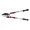 Darlac Telescopic Ratchet Lopper 2 Darlac Telescopic Ratchet Lopper -Plantify Shop 1202099