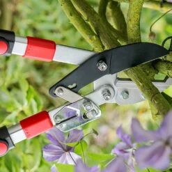 Plantify Shop -Plantify Shop 1202099 2