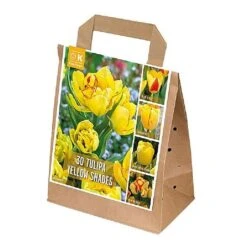 Tulipa Yellow Shades (Bag Of 30)