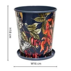 Kew Temperate House Planter With Saucer 16cm -Plantify Shop 1227772 4