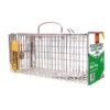 The Big Cheese Ready-Baited Rat Trap -Plantify Shop 1233139