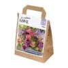 Bouquet Tulipa & Allium (30 Bulbs) -Plantify Shop 1248852