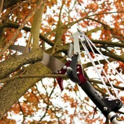 Kent & Stowe Telescopic Tree Lopper 6 Kent & Stowe Telescopic Tree Lopper -Plantify Shop 910042 1
