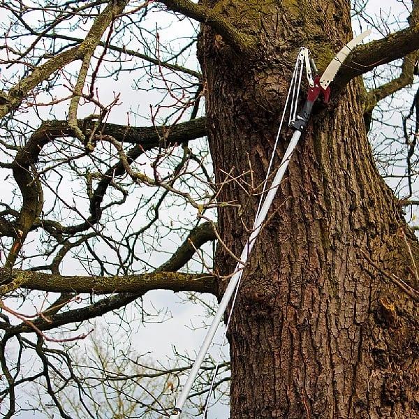 Kent & Stowe Telescopic Tree Lopper 5 Kent & Stowe Telescopic Tree Lopper - Image 3