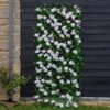 Smart Garden Cherry Blossom Trellis (Various Sizes) -Plantify Shop CBLOSTREL