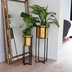 Ivyline Calla Pot Cover Stand Black & Antique Gold (Various Sizes) -Plantify Shop IVCELLABLGO 3