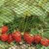 Smart Garden Multi-Mesh - Green - Various Sizes -Plantify Shop MULTIMESH