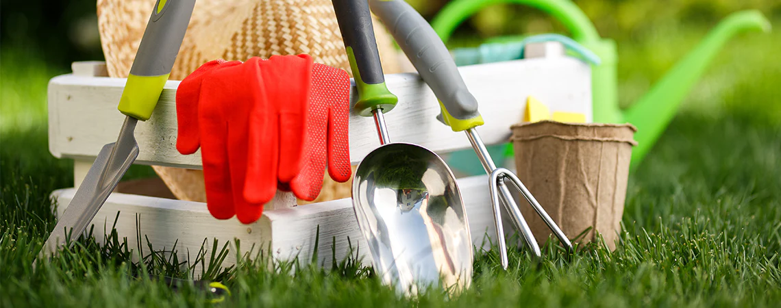 Plantify Shop -Plantify Shop banner960